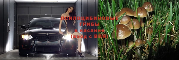 mdpv Аркадак